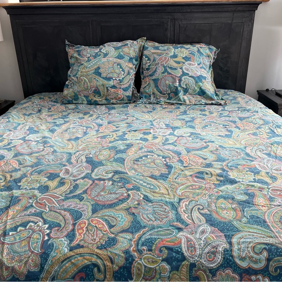 Pottery Barn Blue/Blue Green Paisley Patterned Full/Queen Duvet w/ 2 Euro Shams